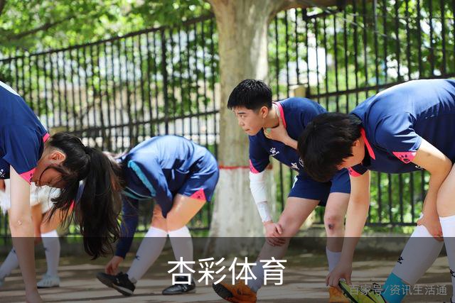 杏彩体育公司介绍